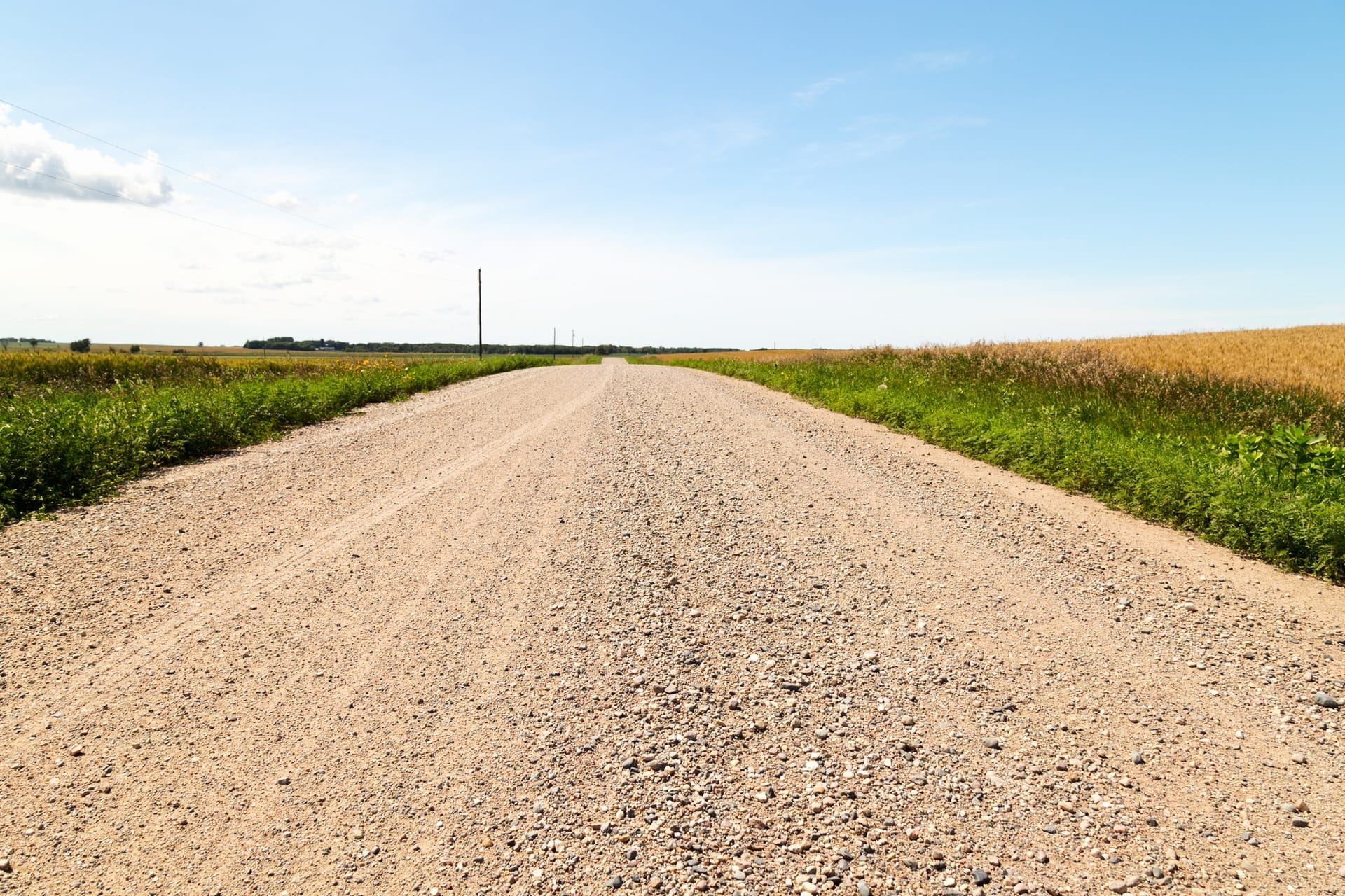 Gravel road running between farm fields under a wide Minnesota sky